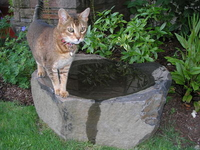 Bronze Basalt Bowls | Stone Columns & Bowls