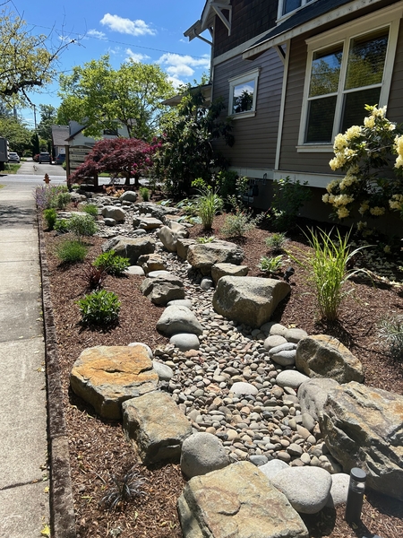 Image Catch the Bird project: Xeriscape Dry Stream Bed